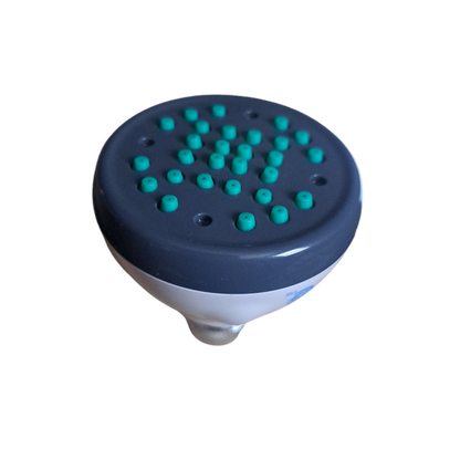 Spray Clean 1.25 gpm max shower head